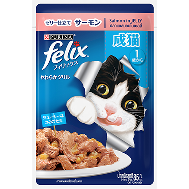 FELIX ADULT With Salmon in jelly 